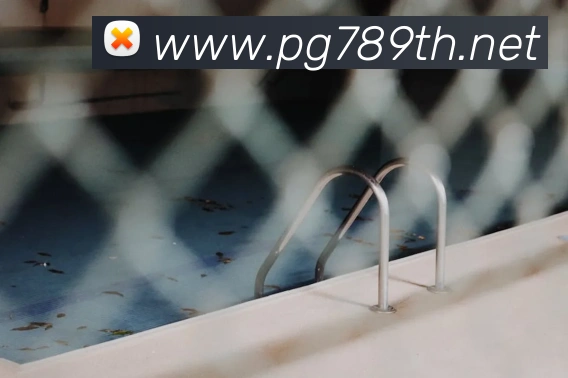pg服务体系
